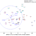 dbRDA graph of PPsizes vs all variables